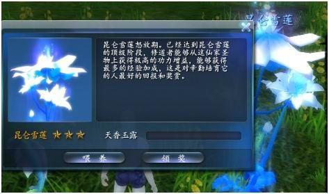 昆仑雪莲