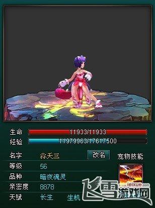 长生战道华山论剑五大橙宠有哪些