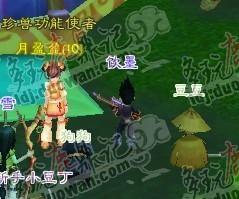 鹿鼎記新人攻略，抓寵選侍衛(wèi)全解！