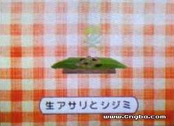 点击图片可在新窗口打开:
