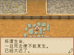 [图文]NDS牧场物语-欢迎来到风之集市中文攻略-新手常见问题QA FAQ - 阿米 - 米多多牧场