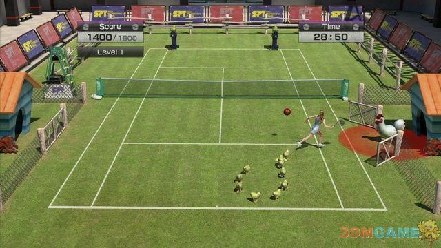 《虚拟网球4》网球资料