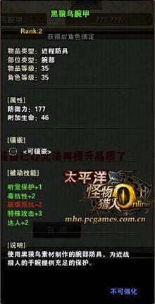 黑狼鸟
