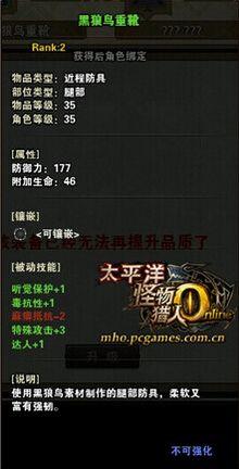 黑狼鸟