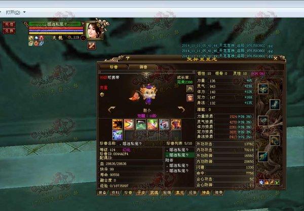 全服第二天龙号被瑶池私宠收购：据传大神情无悔已改名
