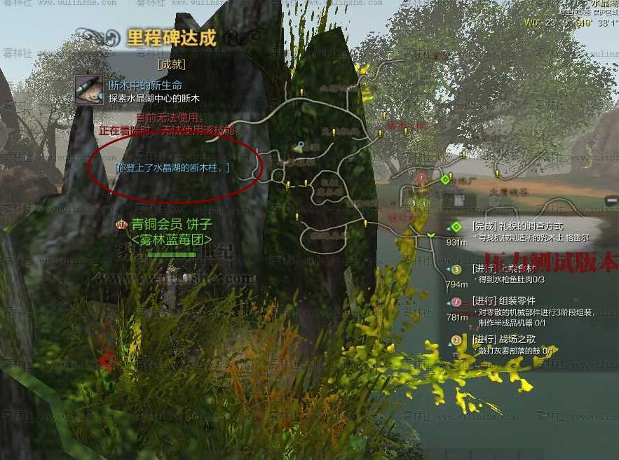 点击查看大图