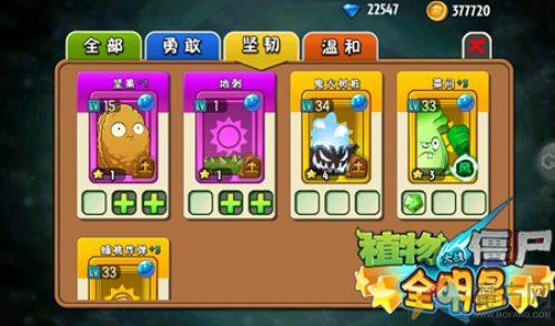植物大战僵尸全明星选择橙色植物推荐