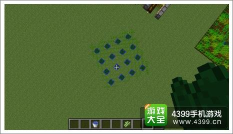 我的世界种植甘蔗
