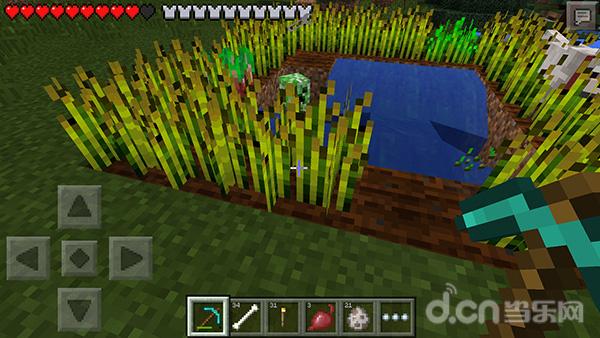 《我的世界手机版Minecraft–Pocket Edition》怎么种植物 种植农作物知识大全_我的世界移动版攻略_当乐原创频道