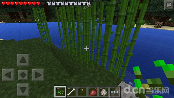 《我的世界手机版Minecraft–Pocket Edition》怎么种植物 种植农作物知识大全_我的世界移动版攻略_当乐原创频道