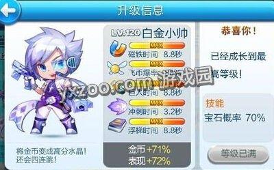 白金小帅