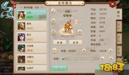 問道手游寵物頓悟流程 頓悟步驟全解