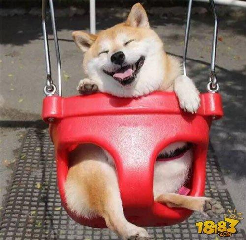 阴阳师新版犬神攻略:技能御魂阵容全解析