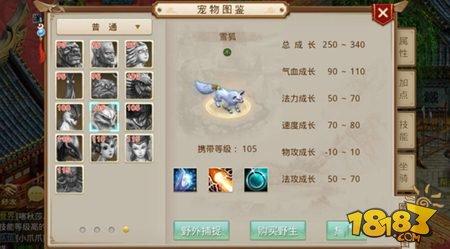 问道手游雪狐加敏吗 雪狐培养价值解读