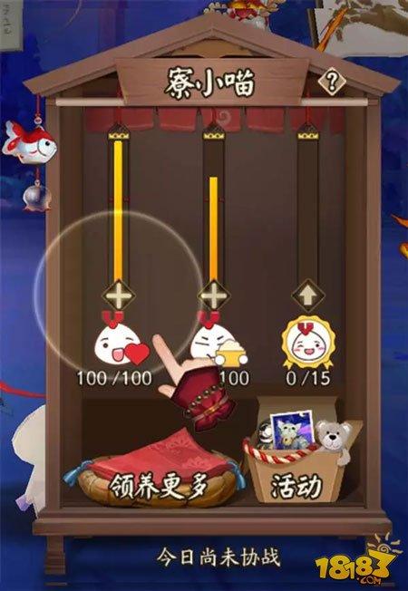 庭院小动物玩法 阴阳师科学养猫全攻略