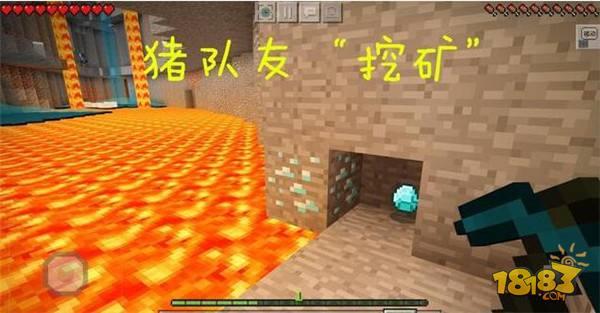 我的世界不要和猪队友做的6件事 过来人的忠告