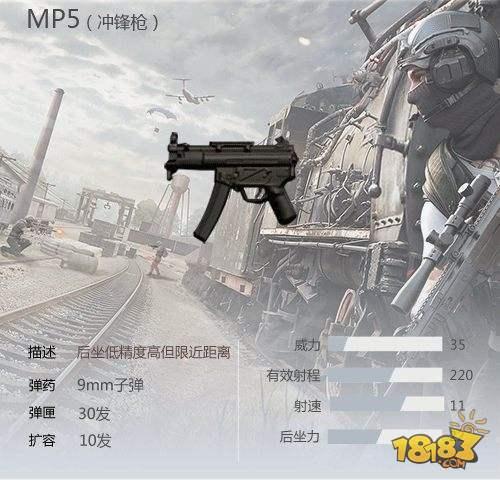 荒野行動(dòng)決賽圈槍械選擇推薦 因地制宜才能無(wú)往不利