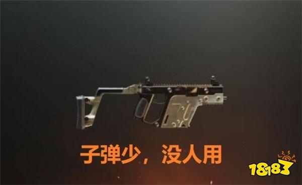 刺激战场最没存在感的武器盘点 最后一名被削到没人用