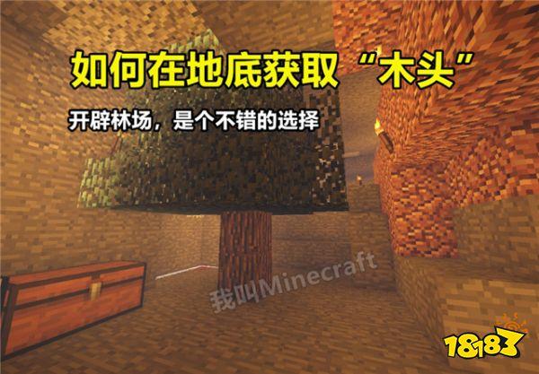 我的世界挑战地下生存一百天 必备物资推荐