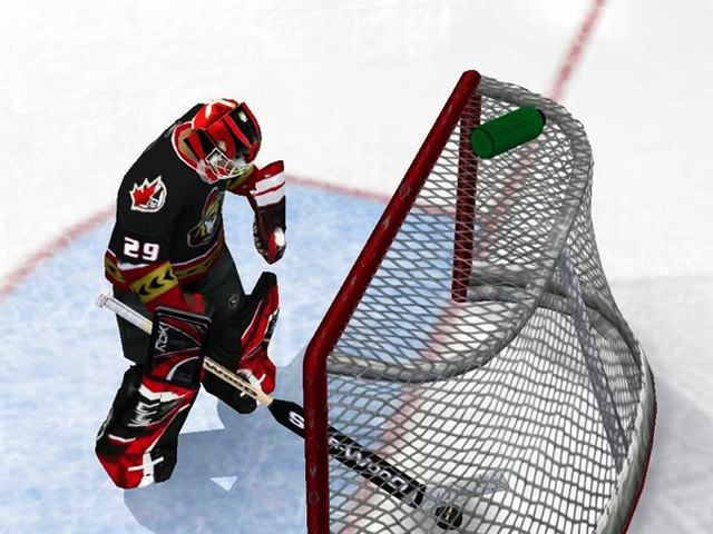 NHL冰球2009图片