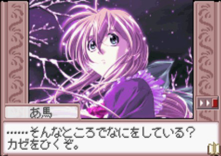 双姝情缘图片