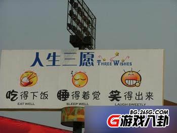 蟑螂不死我死！那些写广告词的都是神仙啊