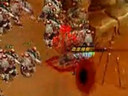 全球首款魔幻ARPG《诸神之怒》今日不删档内测