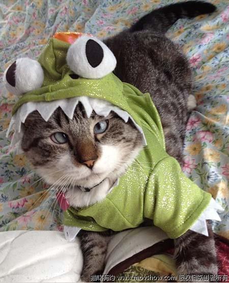 20120929083553535.jpg