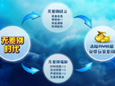 暑假倒计时《远征OL》无差别概念强势来袭