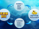 战个痛快 《远征OL》首推无差别PK竞技