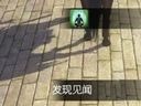 天涯明月刀见闻系统详解