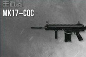 《使命召唤OL》突击步枪心得：MK17-CQC