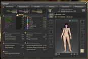 治疗堆信念还是坦克堆信念？FF14属性解析