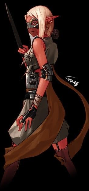 DNF韩服2015更新计划猜想：或推女帕拉丁职业