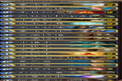 新卡組速遞第一期 大帝雙龍冰法卡組
