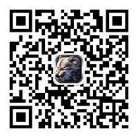 杀戮之中盛放 《冰火幻想》小玫瑰解读