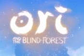《奥日与黑暗森林终极版》设置中文图文教程