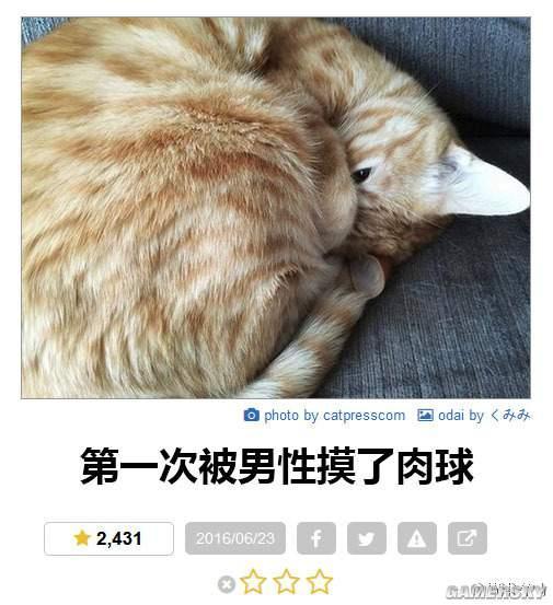逗游网
