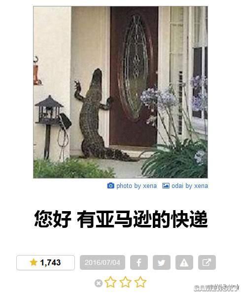 逗游網(wǎng)