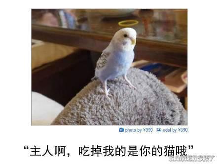 逗游網(wǎng)