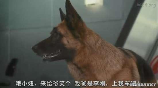逗游网