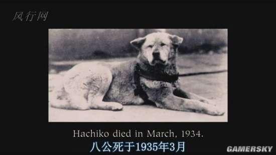 逗游网