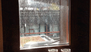 逗游网