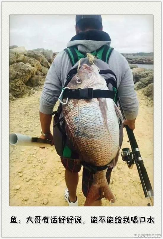 逗游網