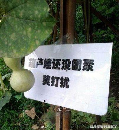 逗游網(wǎng)