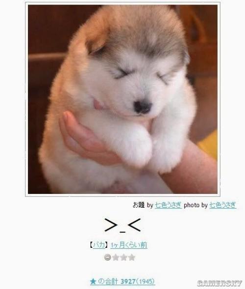 逗游網