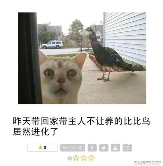 逗游网