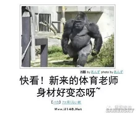 逗游网