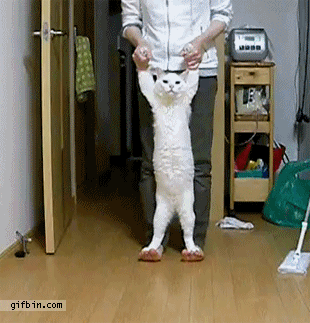 逗游网