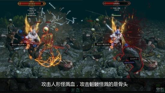 流放之路,细节最新图片